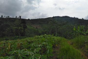 Tanah satu hamparan view bagus di Sukabumi, Jawa Barat (GA20420-CS)