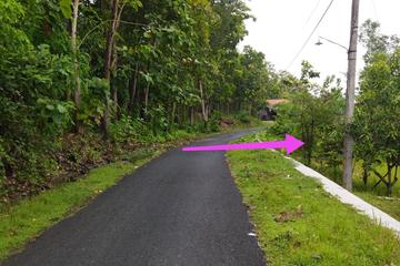 Jalan masuk mobil