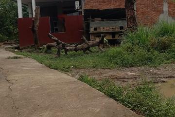 Jual Murah Tanah Kavling Dekat RS Tiara Babelan Bekasi