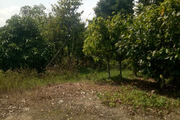Jual Cepat Tanah Pribadi, Sangat Subur, Cocok untuk Tinggal dan Berkebun di Bukit Intan, Pangkal Pinang, Bangka Belitung