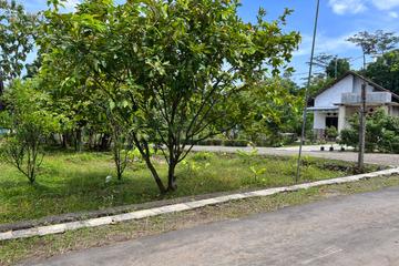 Jual Tanah Bonus Kebun Durian Luas 128 m2 di Kerjo Karanganyar