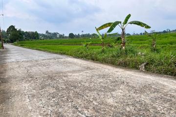 Dijual Tanah SHM 300m2 Cocok Dibangun Resto dan Villa di Karangpandan Karanganyar