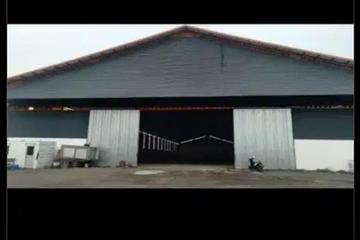 Disewakan Gudang di Kaliwunggu Kendal  - Luas Tanah 33.000 m2 | Luas Bangunan 10.500 m2