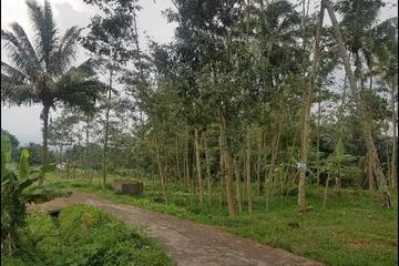 Dijual Lahan di Batang Jawa Tengah, dekat Kawasan Industri Batang - Luas Tanah 430.000 m2