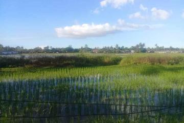 Tampilan depan