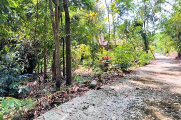 Jual Tanah dekat Sungai & View Sawah di Mojogedang Karanganyar - Luas 815 m2, SHM Pekarangan