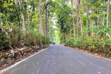 Jual Tanah Super Datar 1028m2 Hanya 250 Juta di Karanganyar Jawa Tengah
