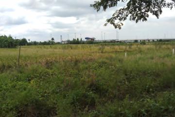 Jual Tanah untuk Cluster dan Gudang di Pinggir Jalan Sriamur dekat Gerbang Tol Gabus, Tambun Utara, Bekasi