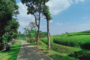 Dijual Cepat Tanah Asri View Sawah & Gunung Lawu di Kerjo Ngargoyoso Karanganyar