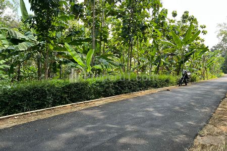 Jual Tanah Datar Bonus Kebun Jati di Kerjo Karanganyar - Luas 418m2 SHM