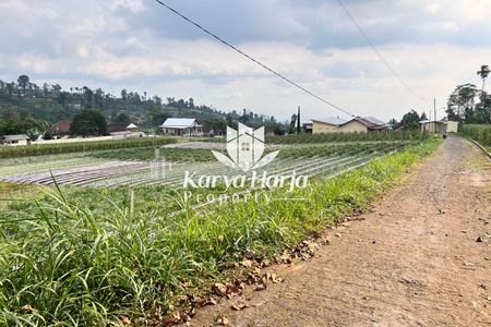 Dijual Tanah 2200m2 Dikelilingi Kebun Teh Kemuning, Karanganyar, Jawa Tengah