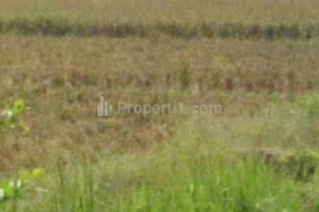 Jual Tanah Strategis Bangun Perumahan Pinggir Jalan Veteran Subang Jawa Barat, dekat Tol