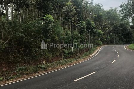 Jual Tanah Sangat Luas di Desa Bendelan, Binakal, Bondowoso