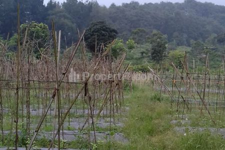 Jual Tanah Kawasan Villa SHM di Jalan Raya Ciapus Bogor
