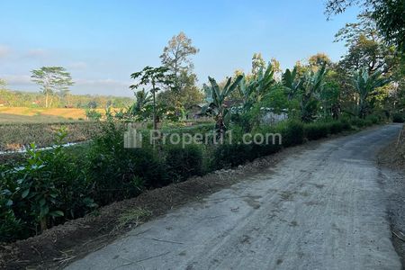 Jual Tanah Sawah 6890m² di Kerjo, Karanganyar, Jawa Tengah