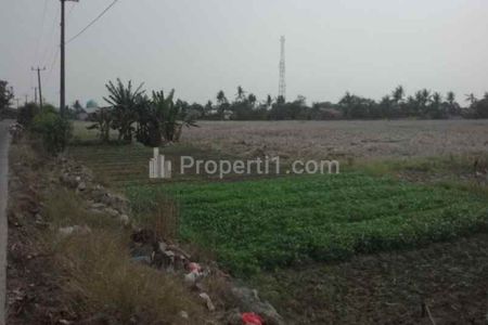 Dijual Tanah untuk Bangun Gudang atau Cluster di Pinggir Jalan Pertamina Babelan Bekasi