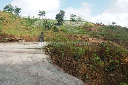 Dijual Tanah 2 Hektar di Tawangmangu Karanganyar