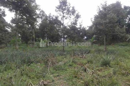 Dijual Tanah untuk Bangun Gudang atau Usaha Pinggir Jalan Raya Jalancagak Subang