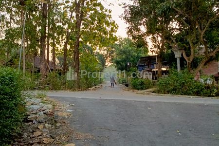 Dijual Tanah Kebun Jati 1071m² di Jenar, Sragen, Jawa Tengah