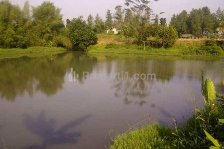 Jual Tanah Basah Sisi Jalan Raya Tonjong, Bojonggede, Bogor - Luas 2659 m2 SHM