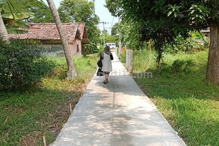 Tanah Dijual di Rawamerta Kabupaten Karawang - Lokasi Strategis Cocok untuk Investasi