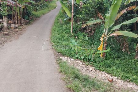Dijual Tanah Murah dekat Sungai di Jalan Raya Cemplang Cibungbulang Bogor