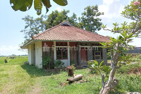 Dijual Tanah untuk Bangun Ruang Usaha dan Gudang di Pinggir Jalan DI Panjaitan Kota Subang