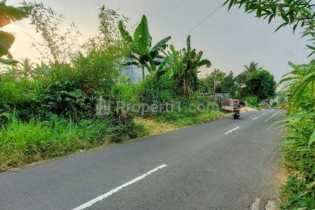 Dijual Tanah Murah Butuh Uang di Pinggir Jalan Raya Cibuntu Ciampea Bogor
