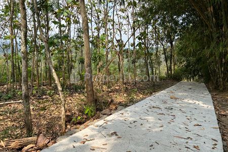 Dijual Tanah dekat Aliran Sungai Pegunungan Karanganyar - Luas 4606 m2 SHM