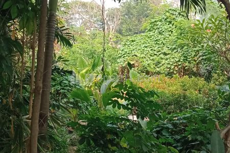 Barang Langka! Jual Murah Tanah di Kavling DKI Joglo Meruya Jakarta Barat - Luas 250 m2 SHM