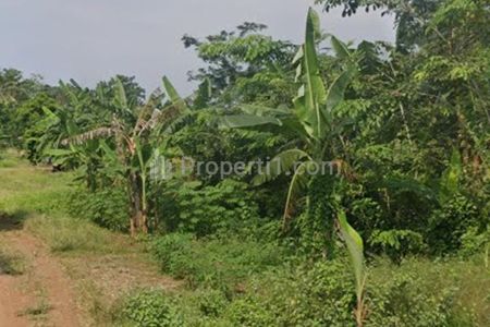 Dijual Tanah Kavling untuk Bangun Kontrakan atau Rumah Lokasi Strategis dekat Unsub Subang