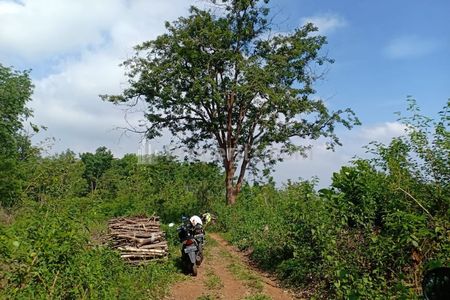 Dijual Tanah 4,6 Hektar Hanya 75 ribu per m2 di Timur Pasar Kerjo, Karanganyar, Jawa Tengah