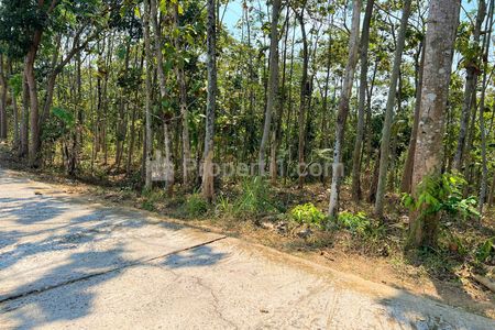 Dijual Tanah Kebun Jati di Karangpandan Karanganyar - Luas 2513 m2 SHM
