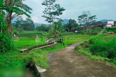 Dijual Tanah dekat Agro Wisata Amanah Karangpandan Karanganyar - Luas 2500m2