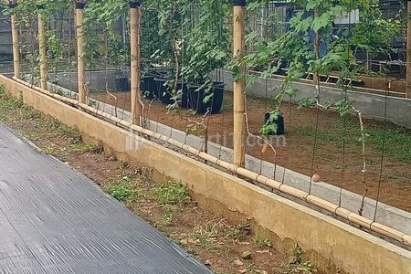 Tanah Dijual di Ciseeng Babakan Perigi Bogor - Luas 1.684 m2 SHM