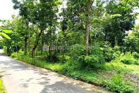 Dijual Tanah Hook Datar Luas 2600m2 Siap Dibangun di Kerjo Karanganyar - Harga 450 Juta