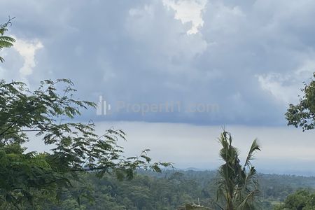 Disewakan Villa Kayu Tua Daerah Pegunungan dan Persawahan di Tegallalang, Tirta Tawar, Gianyar, Dekat Ubud Bali
