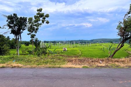 Dijual Tanah Strategis Harga 150 Juta di Kerjo Karanganyar - Luas 419 m2 SHM