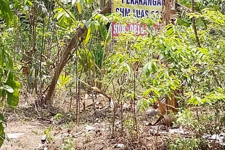 Dijual Tanah Pekarangan Siap Bangun di Desa Pakisdadu, Rejosari, Temanggung, dekat Jalan Raya Propinsi Semarang (Ambarawa - Magelang)