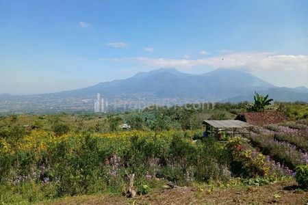 Jual Tanah Murah BU Siap Bangun di Desa Sumbergondo Bumiaji Kota Batu