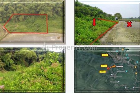Jual Tanah Sangat Murah di Daerah Watu Agung Kabupaten Gresik - Luas 1.730m2 SHM
