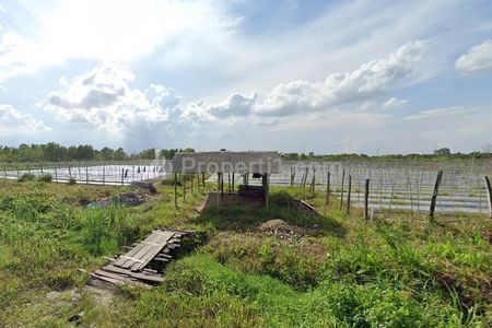 Dijual Tanah Perkebunan Murah Daerah Kulim Tenayan Raya Kota Pekanbaru