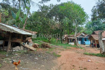 Dijual Cepat dan Murah Tanah Luas 966 m2 di Desa Pasir Kecapi Maja Lebak - Harga Nego