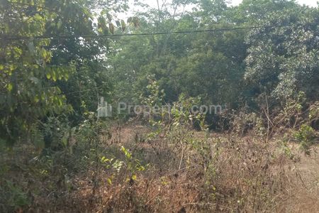 Dijual Tanah di Pinggir Jalan Boreas Dekat Gerbang Tol Kalijati Subang - Cocok untuk Bangun Industri dan Gudang