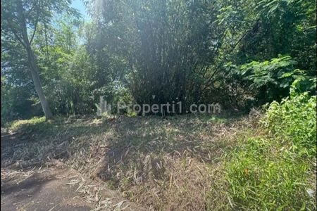 Dijual Tanah Luas 172m2 SHM di Trengguli Denpasar Timur Bali, Harga Nego, Siap Bangun