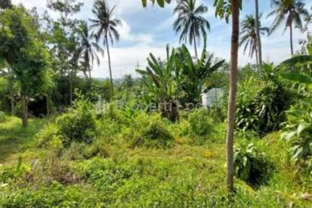 Jual Tanah Sangat Luas di Candirejo, Ungaran Barat, Semarang