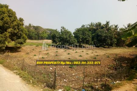 TERMURAH Dijual Cepat Tanah di Pakisjaya Karawang Luas 4.950 m2 Jawa Barat - Pinggir Jalan Utama