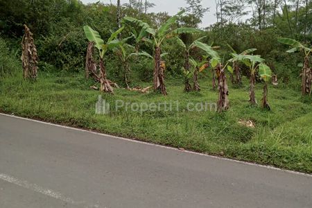 Jual Tanah Luas 17.920 m2 Tanpa Perantara dekat Wisata Religi Pamijahan, Desa Parakan Honje, Karang Nunggal, Tasikmalaya