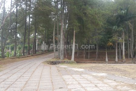 tampak depan