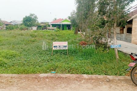Tanah Dijual di Selat Tengah Kapuas Kalimantan Tengah Dekat RSUD Dr. H. Soemarno Sosroatmodjo, Citimall Kuala Kapuas, PEMDA Kabupaten Kapuas